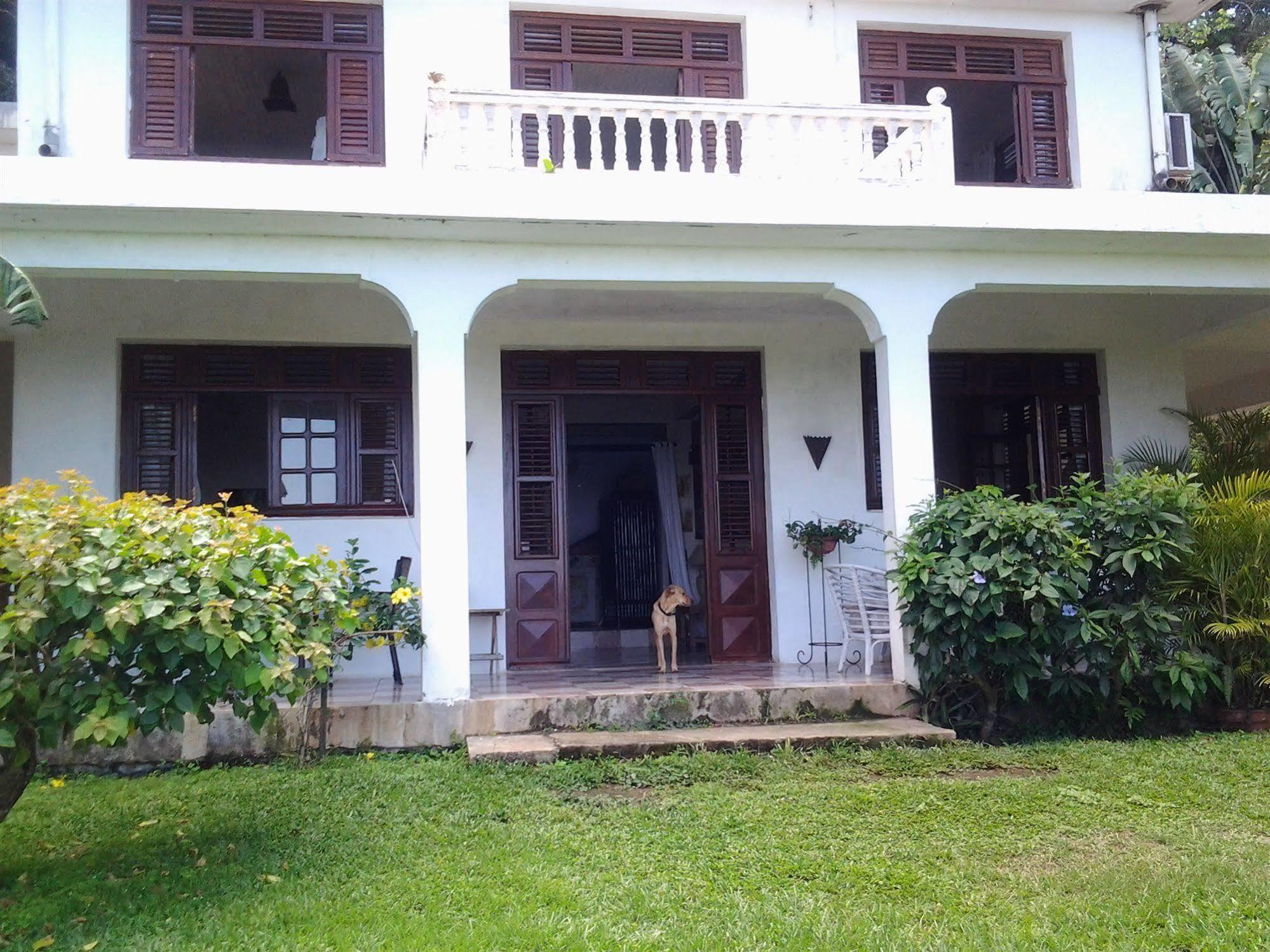 Villa Galerie Les Anses-d'Arlets Kültér fotó